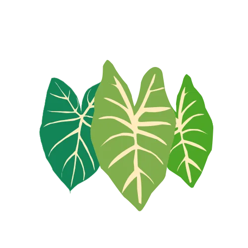 Explore Hawaii Tours